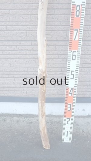 画像5: 棒流木・長尺