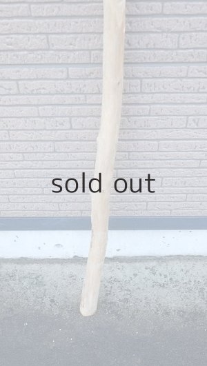 画像2: 棒流木・長尺