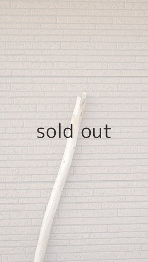 画像4: 棒流木・長尺