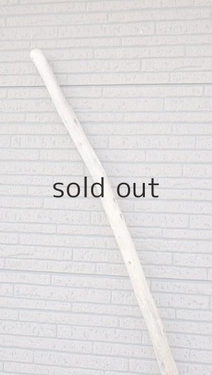 画像4: 棒流木・長尺