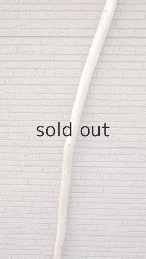 画像3: 棒流木・長尺