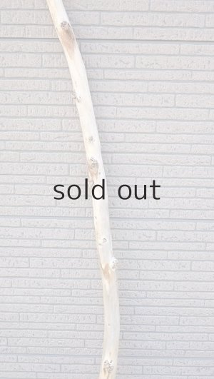 画像3: 棒流木・長尺