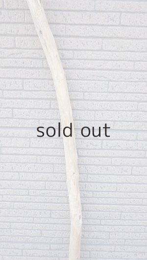 画像3: 棒流木・長尺