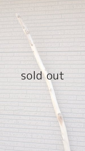 画像4: 棒流木・長尺