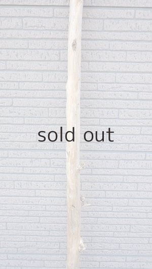 画像3: 棒流木・長尺