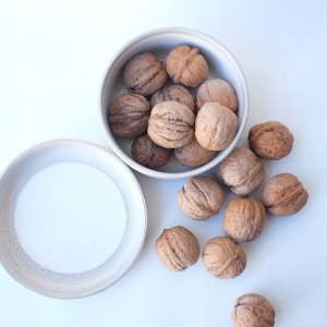 画像6: Dry plants for decor デコール用乾燥胡桃（5個入）