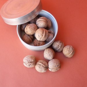 画像8: Dry plants for decor デコール用乾燥胡桃（5個入）