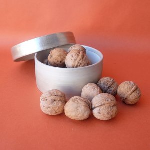 画像7: Dry plants for decor デコール用乾燥胡桃（5個入）