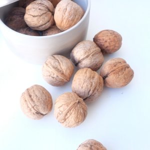 画像5: Dry plants for decor デコール用乾燥胡桃（5個入）