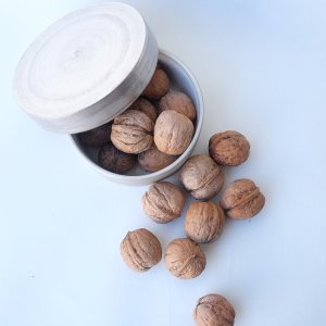 画像4: Dry plants for decor デコール用乾燥胡桃（5個入）