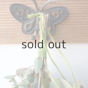 画像2: Dry plants for decor ユーカリシンプルminiスワッグ