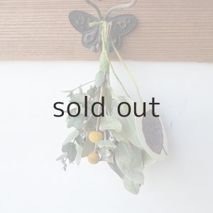 画像1: Dry plants for decor ユーカリシンプルminiスワッグ