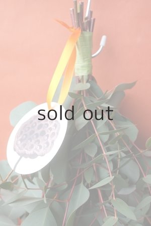 画像3: Dry plants for decor ユーカリ（ポポラス）シンプルスワッグ