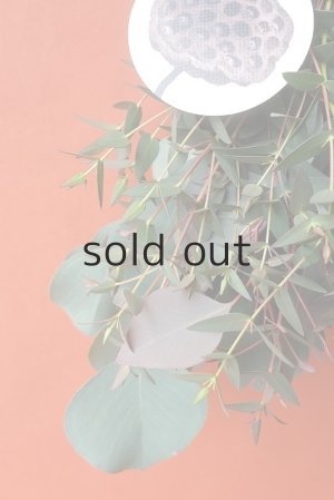 画像3: Dry plants for decor ユーカリ（ポポラス）シンプルスワッグ