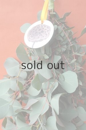 画像5: Dry plants for decor ユーカリ（ポポラス）シンプルスワッグ