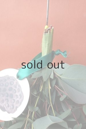 画像2: Dry plants for decor ユーカリ（ポポラス）シンプルスワッグ