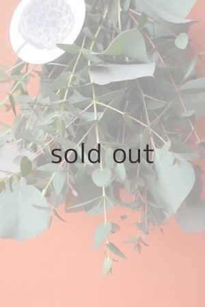 画像4: Dry plants for decor ユーカリ（ポポラス）シンプルスワッグ