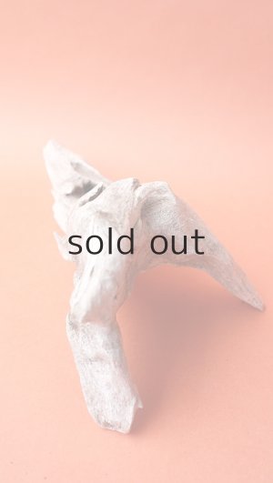 画像6: 変形流木