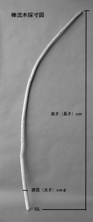 画像7: 棒流木セット