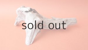 画像3: 変形流木