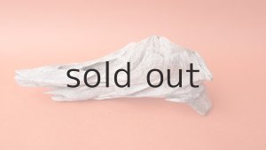 画像2: 変形流木