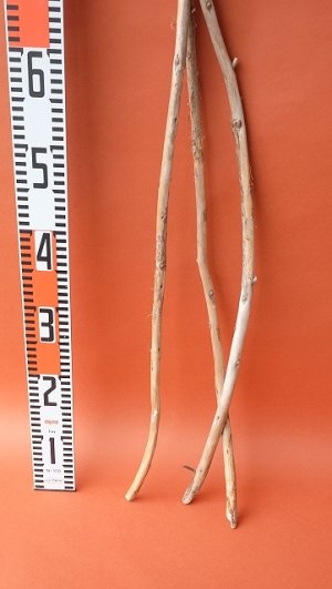 画像6: 棒流木セット