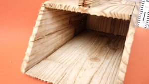 画像4: その他流木