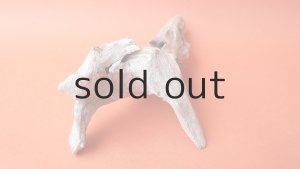 画像4: 変形流木