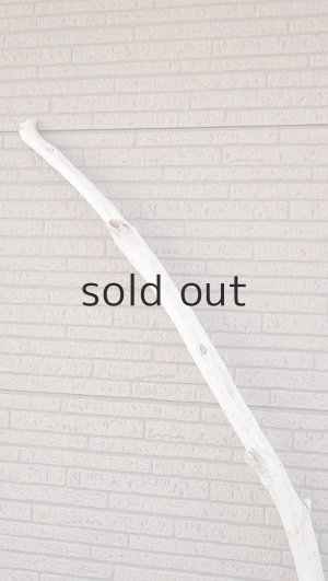 画像4: 棒流木・長尺