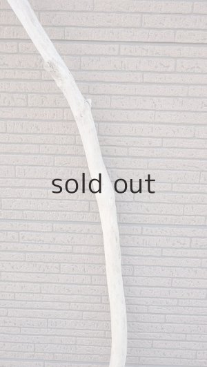 画像3: 棒流木・長尺