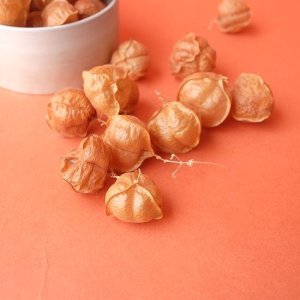 画像2: Dry plants for decor デコール用乾燥風船かずら（10個入）