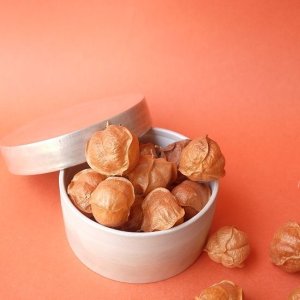 画像3: Dry plants for decor デコール用乾燥風船かずら（10個入）