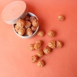 画像4: Dry plants for decor デコール用乾燥風船かずら（10個入）