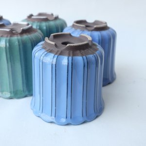 画像10: 塗り鉢（多肉寄せ植え用）