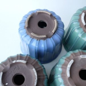 画像8: 塗り鉢（多肉寄せ植え用）