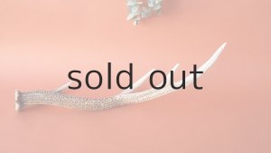 画像6: デコール用二ホンジカの角