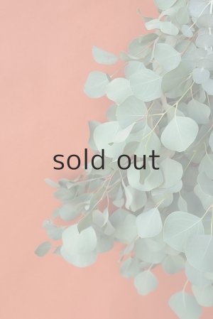 画像4: Dry plants for decor ユーカリ2種シンプルスワッグ