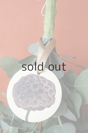 画像3: Dry plants for decor ユーカリ2種シンプルスワッグ