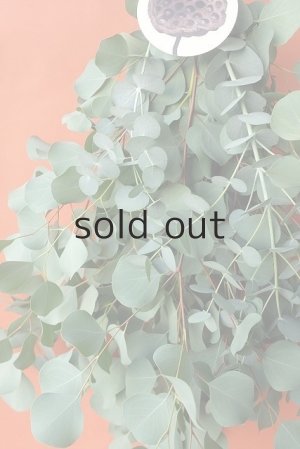 画像5: Dry plants for decor ユーカリ2種シンプルスワッグ