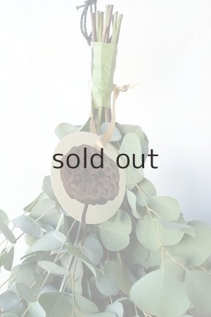 画像2: Dry plants for decor ユーカリ2種シンプルスワッグ