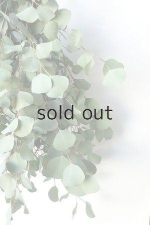 画像5: Dry plants for decor ユーカリ2種シンプルスワッグ