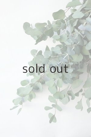 画像3: Dry plants for decor ユーカリ2種シンプルスワッグ