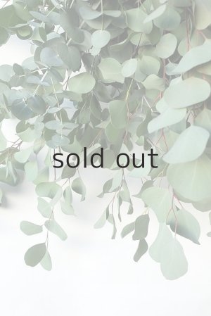 画像6: Dry plants for decor ユーカリ2種シンプルスワッグ