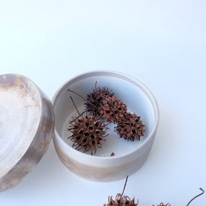 画像5: Dry plants for decor デコール用乾燥モミジバフウ（3個入）