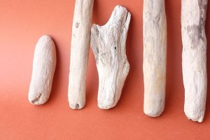 画像2: 小枝流木セット