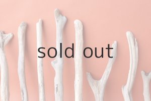 画像6: 小枝流木セット