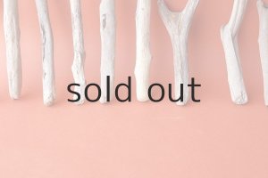 画像5: 小枝流木セット