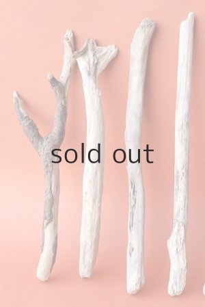 画像2: 小枝流木セット