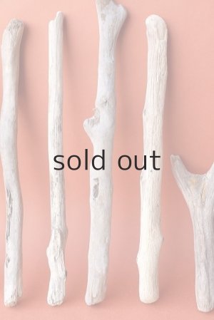 画像3: 小枝流木セット