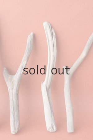 画像4: 小枝流木セット